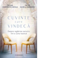 Cuvinte care vindeca. Despre regasirea sensului intr-o lume haotica