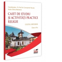 Religie. Cultul ortodox. Clasa a IX-a. Caiet de studiu si activitati practice