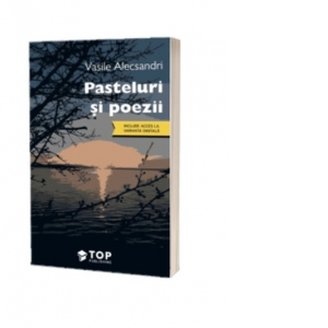 Pasteluri si poezii