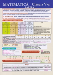 Pliant. Matematica. Clasa a V-a, partea I