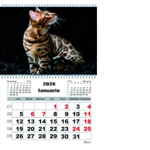 Calendar de Perete A3, Pisici, 1 luna/coala 2026