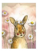 Carnet A6 - Rabbit and Daisies