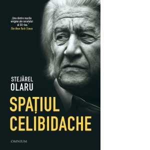 Spatiul Celibidache