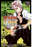 Demon Slayer: Kimetsu no Yaiba, Vol. 17