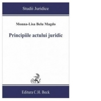 Principiile actului juridic