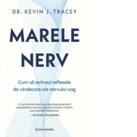 Marele nerv. Cum sa activezi reflexele de vindecare ale nervului vag