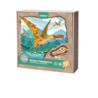 Setul micului arheolog, descoperirea dinozaurului pterodactyl