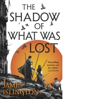 The Shadow of What Was Lost