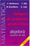 Culegere de probleme pentru liceu - algebra - clasele IX - XII (editie noua revizuita si adaugita)
