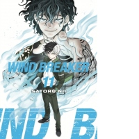 Wind Breaker 11 : 11