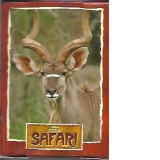 Mini Puzzle 54 - Animale - Safari (54 piese, 3+)