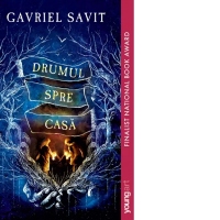 Drumul spre casa. Paperback