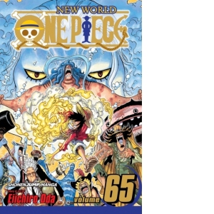 One Piece, Vol. 65