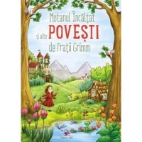 Motanul Incaltat si alte povesti de Fratii Grimm