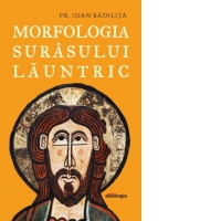 Morfologia surasului launtric
