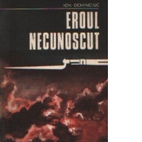 Eroul necunoscut - Roman