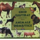 Ghid ilustrat pentru cei mici despre animale domestice (format A4)