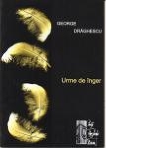 Urme de inger