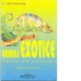 Animale Exotice- carte de colorat