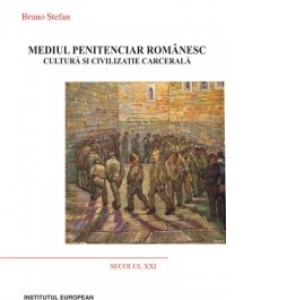 Mediul penitenciar romanesc