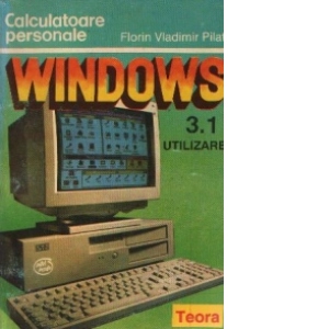 Windows 3.1 - Utilizare
