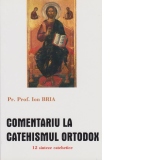 Comentariu la catehismul ortodox (12 sinteze catehice)