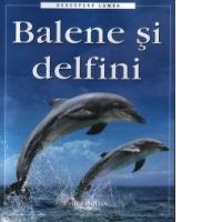 Balene si delfini