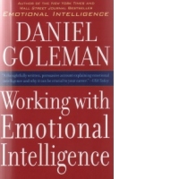 Working with Emotional Intelligence
