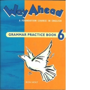 Way Ahead (Level 6 - Grammar Practice Book)