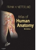 Atlas of Human Anatomy, 4th edition