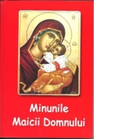 Minunile Maicii Domnului