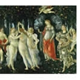 PUZZLES MUSEUM 1000 PIESE - Botticelli - La Primavera - The spring