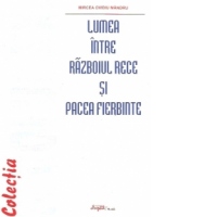 Lumea intre razboiul rece si pacea fierbinte