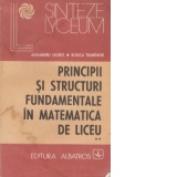 Principii si structuri fundamentale in matematica de liceu (Vol.II) - Geometrie si trigonometrie