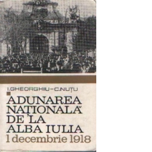 Adunarea nationala de la Alba Iulia 1 decembrie 1918