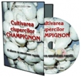 Afaceri la Cheie pe CD - Cultivarea ciupercilor Champignon