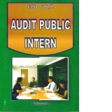 Audit public intern