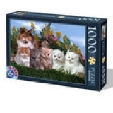 Puzzle 1000 - Animale domestice (pisici) (68 x 47cm) (6+)