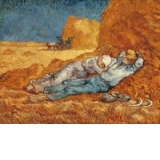 PUZZLES MUSEUM 1000 PIESE - La Siesta, Van Gogh (67.7 x 47.7 cm)