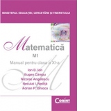 Matematica M1 - Manual pentru clasa a XI-a