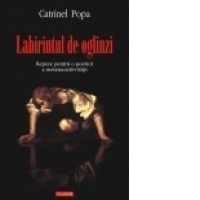 Labirintul de oglinzi. Repere pentru o poetica a metatranzitivitatii
