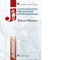 Fundamentele Organizarii Internationale