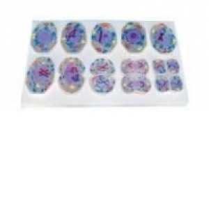 Set Modele simple Mitoza la animale