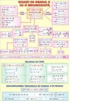 Functii de gradul II cu o necunoscuta/Transform;ri geometrice (duo)
