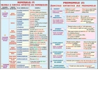 Numeralul (2) /Pronumele (2) (duo)