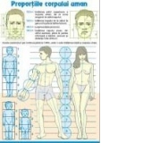 Proportiile corpului uman/ Contrastele cromatice (duo)