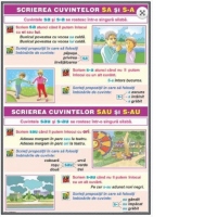 Ortografierea grupurilor: s-a/sa si s-au /sau  \Scrierea cuvintelor cu mp si mb  (duo)