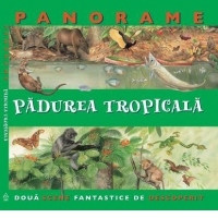 Padurea tropicala