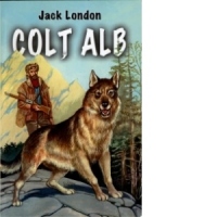 Colt Alb