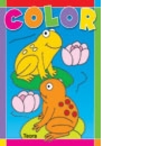 Carte de colorat 4